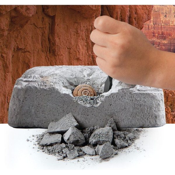 discovery-mindblown-stem-colossal-fossil-dig-set-32434812682327_720x-3 discovery-mindblown-stem-colossal-fossil-dig-set-32434812682327_720x-3