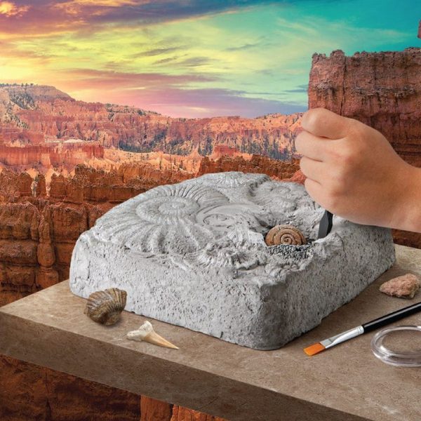 discovery-mindblown-stem-colossal-fossil-dig-set-32434812747863_720x-1 discovery-mindblown-stem-colossal-fossil-dig-set-32434812747863_720x-1