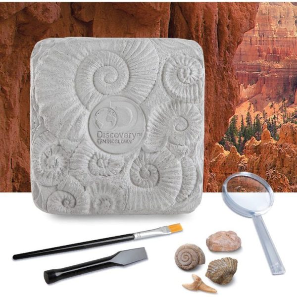 discovery-mindblown-stem-colossal-fossil-dig-set-32434812813399_720x-1 discovery-mindblown-stem-colossal-fossil-dig-set-32434812813399_720x-1