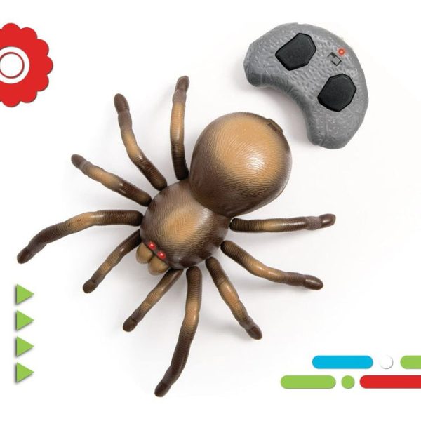 discovery-stem-remote-control-tarantula-spider-32434842796119_720x discovery-stem-remote-control-tarantula-spider-32434842796119_720x