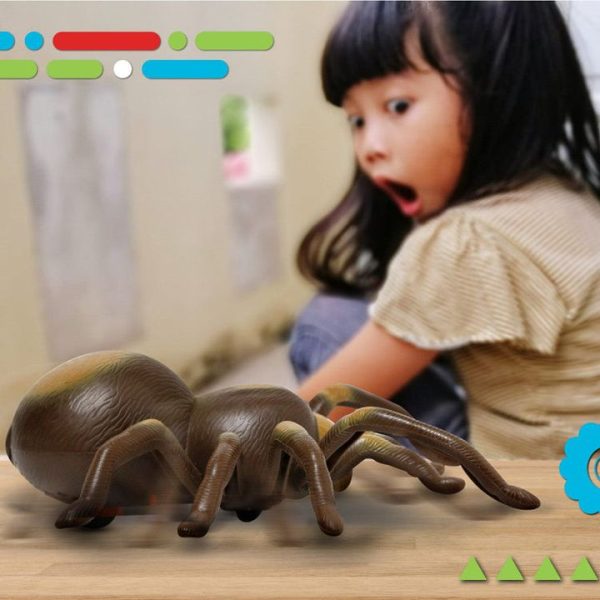 discovery-stem-remote-control-tarantula-spider-32434842861655_720x discovery-stem-remote-control-tarantula-spider-32434842861655_720x