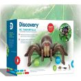 discovery-stem-remote-control-tarantula-spider-32434843058263_720x-2