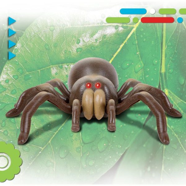 discovery-stem-remote-control-tarantula-spider-32434843091031_720x discovery-stem-remote-control-tarantula-spider-32434843091031_720x
