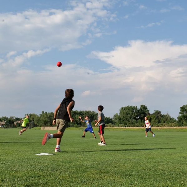 ec6455d4-ec3b-483a-99a5-aa23081f8103_720x ec6455d4-ec3b-483a-99a5-aa23081f8103_720x