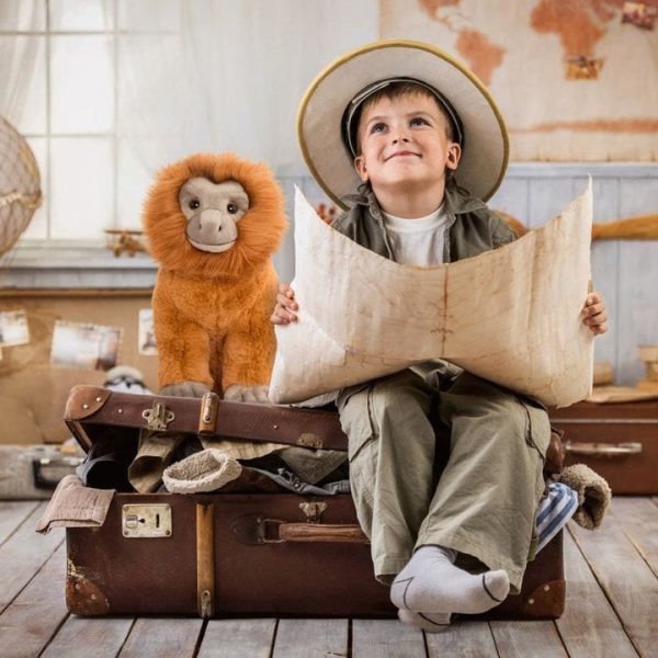 fao-schwarz-plush-12-adopt-a-wild-pal-endangered-gold-lion-tamarin-plush-31491214344279_720x-3 fao-schwarz-plush-12-adopt-a-wild-pal-endangered-gold-lion-tamarin-plush-31491214344279_720x-3