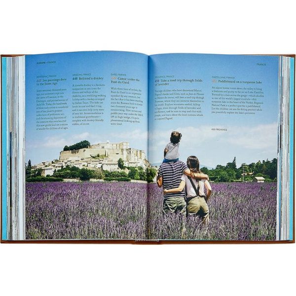 graphic-image-books-the-family-bucket-list-book-leather-edition-1152077163_720x-3 graphic-image-books-the-family-bucket-list-book-leather-edition-1152077163_720x-3