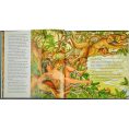 graphic-image-books-the-jungle-book-in-green-bonded-leather-32343284121687_720x-3