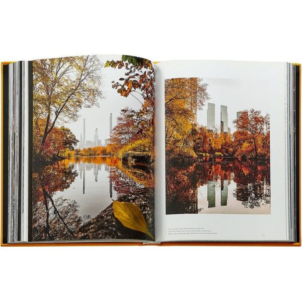 graphic-image-books-trope-new-york-book-leather-edition-1152077146_720x-5 graphic-image-books-trope-new-york-book-leather-edition-1152077146_720x-5