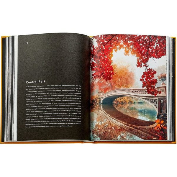 graphic-image-books-trope-new-york-book-leather-edition-1152077148_720x-6 graphic-image-books-trope-new-york-book-leather-edition-1152077148_720x-6