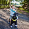 ponycycle-inc-preschool-black-ride-on-horse-ages-3-5-31162522206295_720x-3