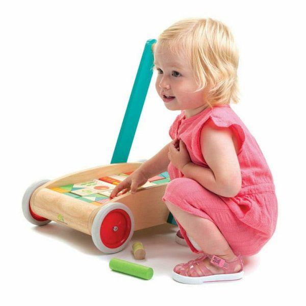 tender-leaf-preschool-baby-block-walker-29339713994839_720x-7 tender-leaf-preschool-baby-block-walker-29339713994839_720x-7